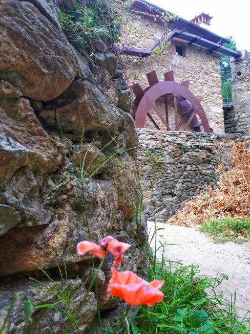 ButiUno Spazio Di Relax In Toscanaアパートメント エクステリア 写真