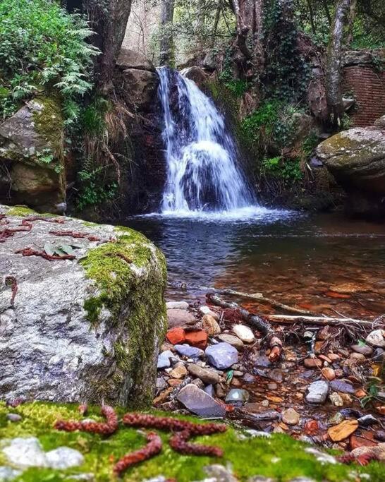 ButiUno Spazio Di Relax In Toscanaアパートメント エクステリア 写真